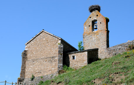 pinos01