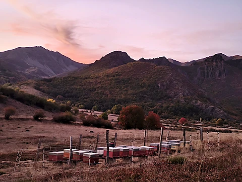 orodebabia-estasenbabia-01