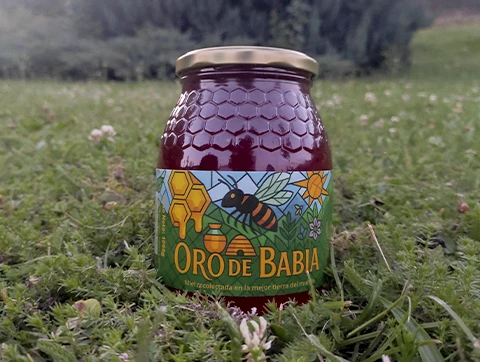 orodebabia-estasenbabia-02