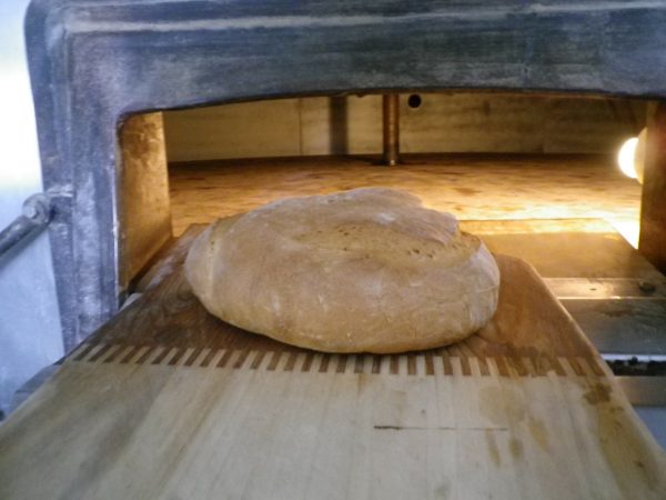 hogaza horno